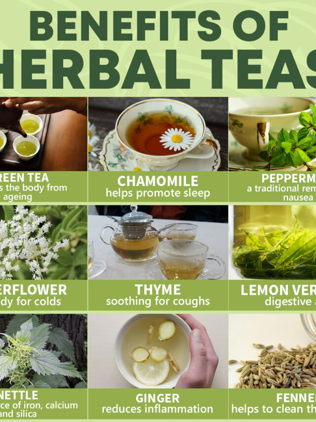 20 Herbal Teas That Can Improve Your Lifestyle and Overall Well-Being